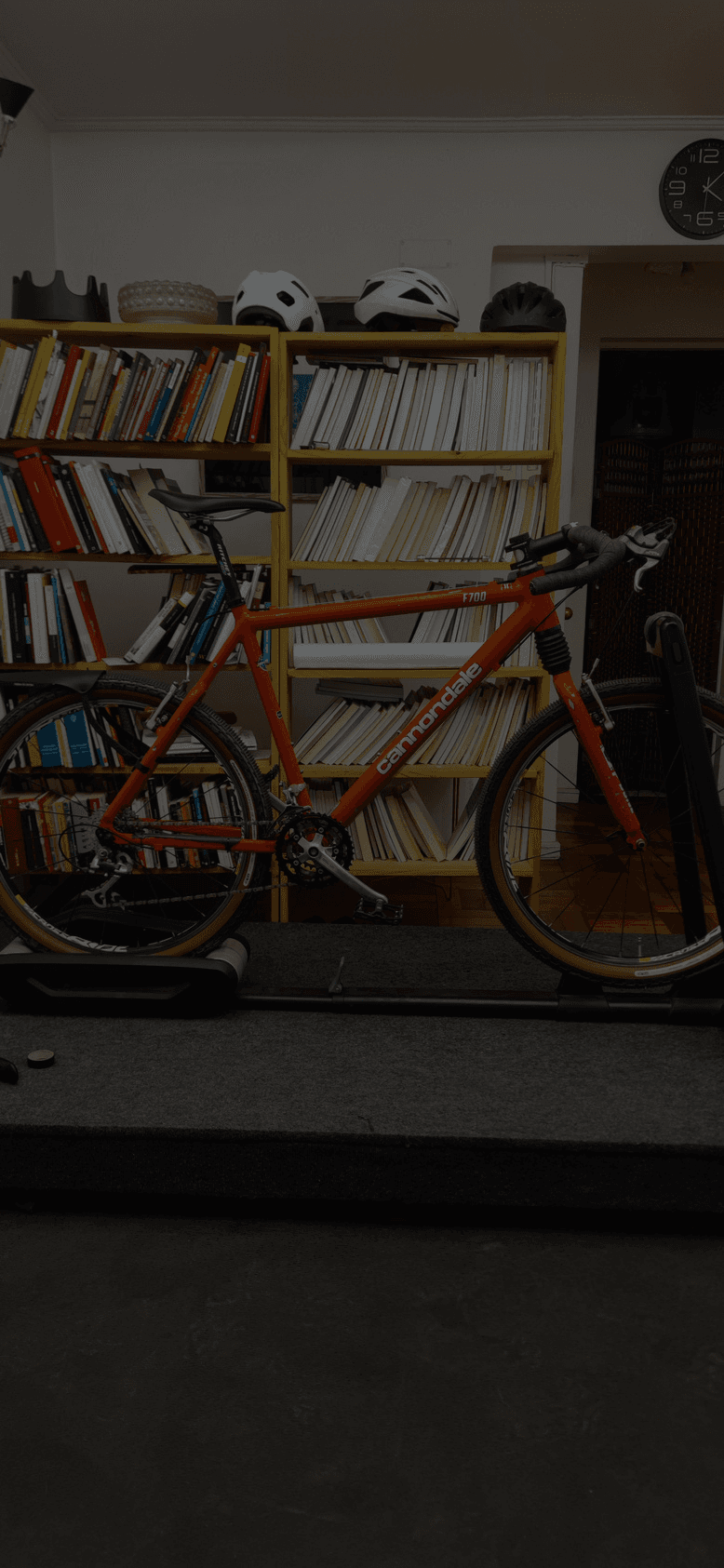 Bikefit Commuter Bike — 1 Sesión